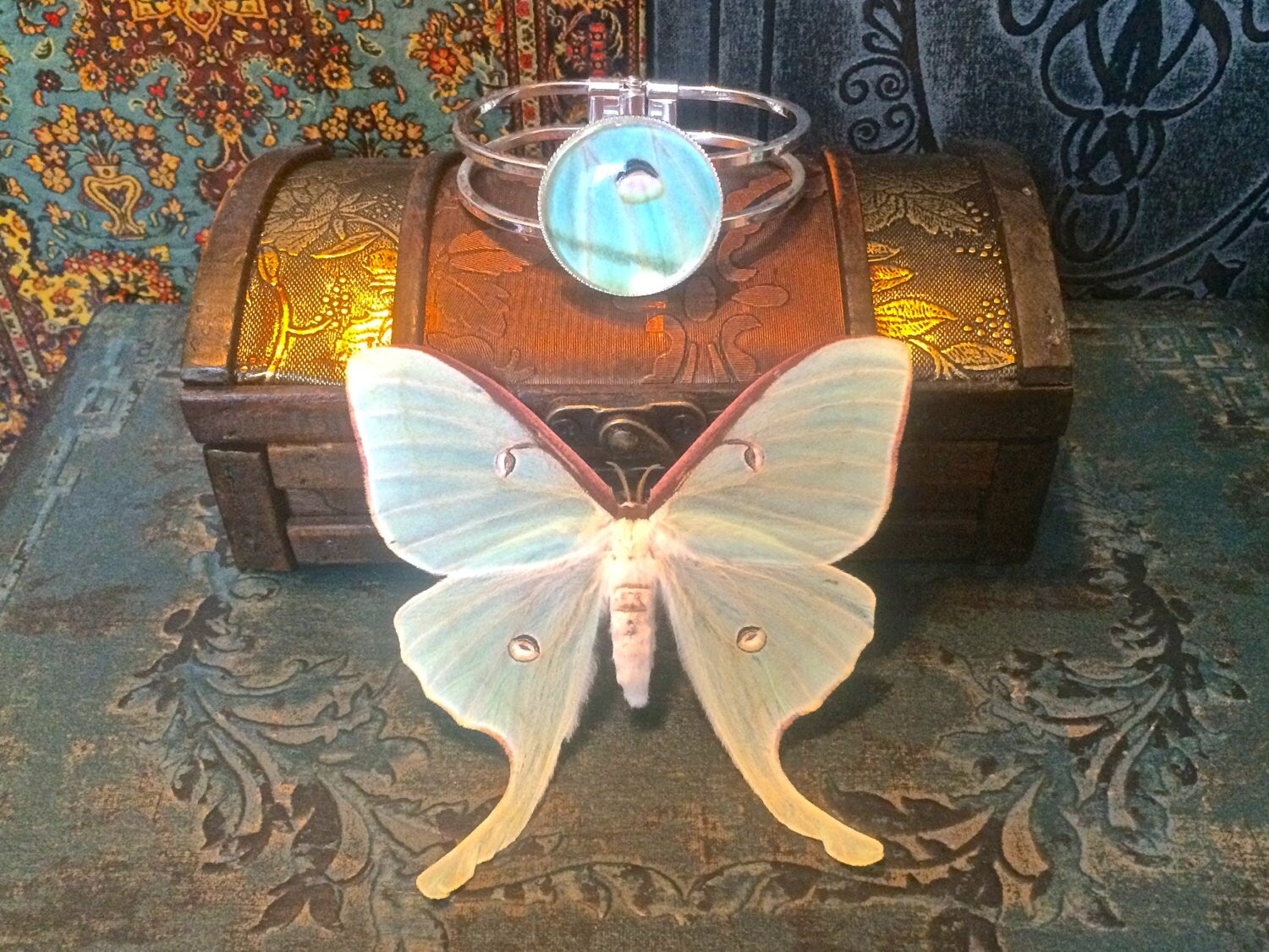 Real Butterfly Wing Jewelry Butterfly wing bracelet Statement bracelet Inspirational bracelet Friendship bracelet set boho braclets bangle