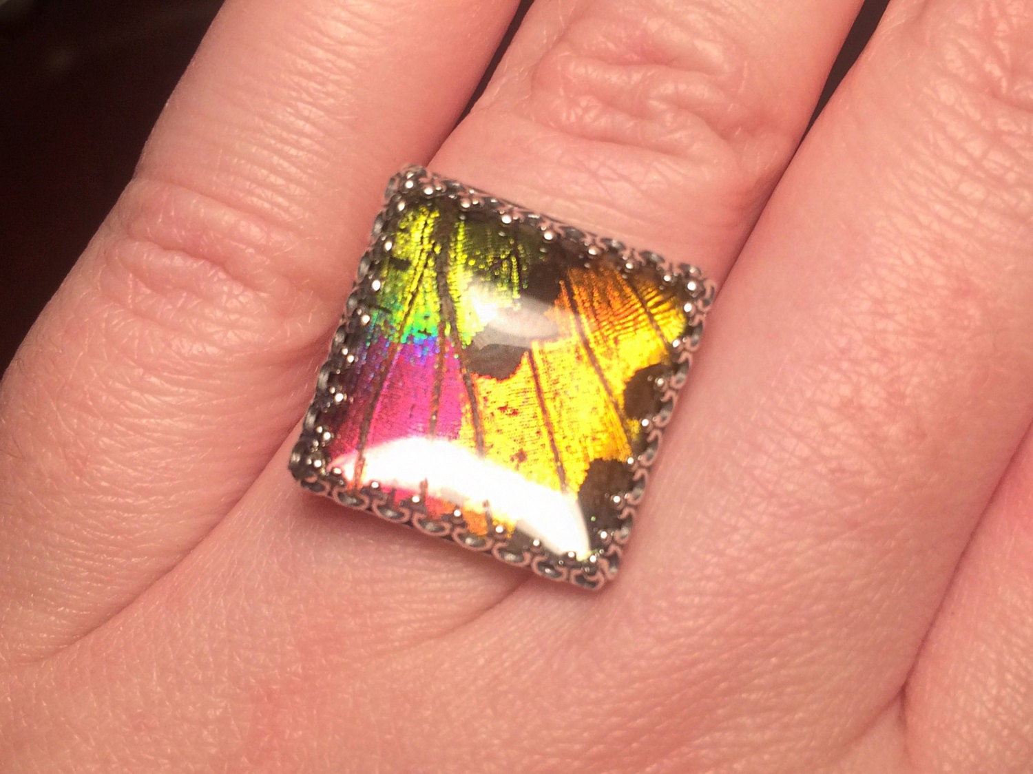 Cool rings Real moth wing ring Terrarium ring Weird stuff Oddities & Curiosities Insect taxidermy ring Madagascan sunset moth ring Bug ring