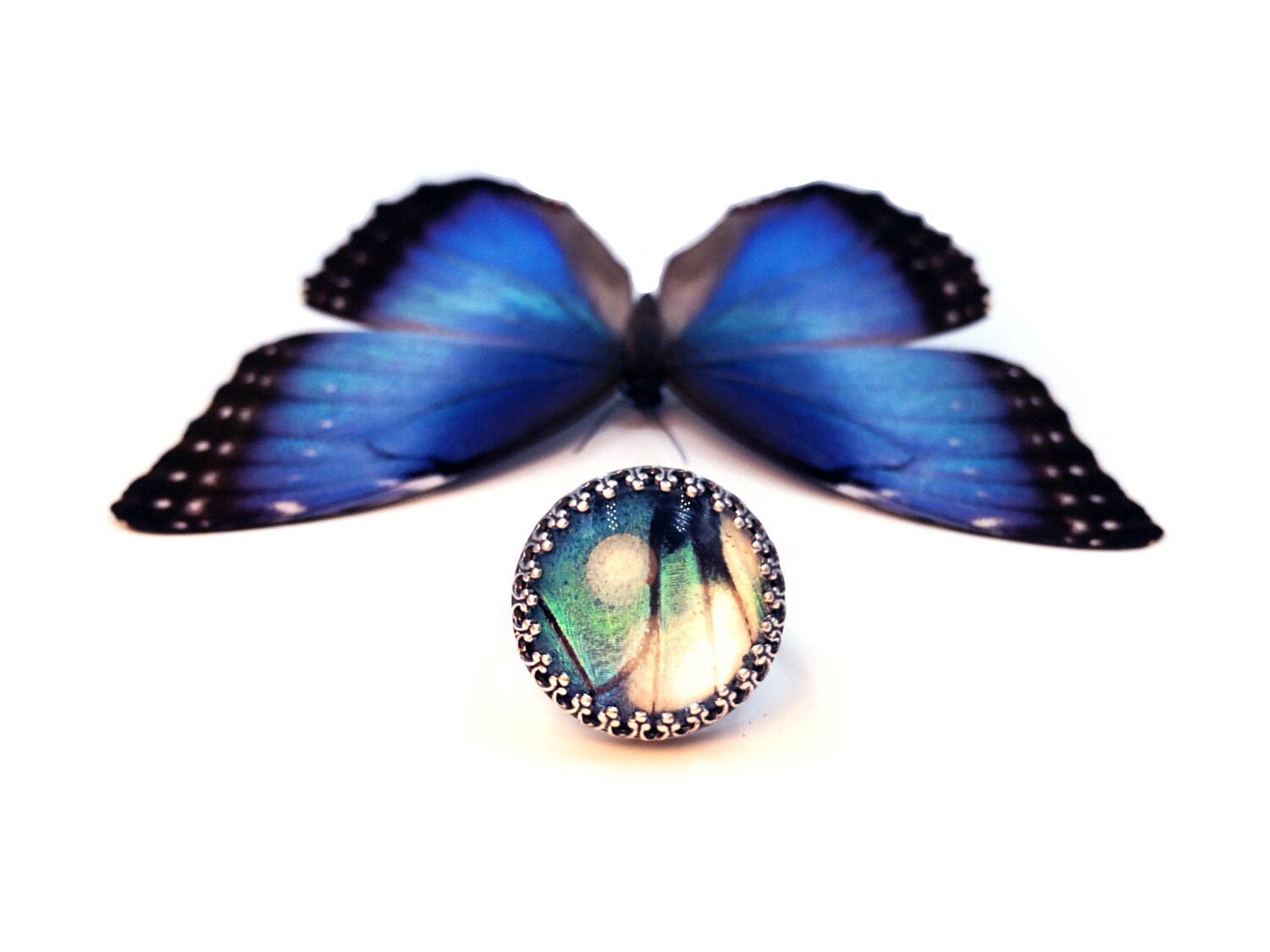 Real butterfly ring butterfly wings women ring size 10 9 8 7 6 Adjustable sterling silver rings for girls Glass resin ring ocean