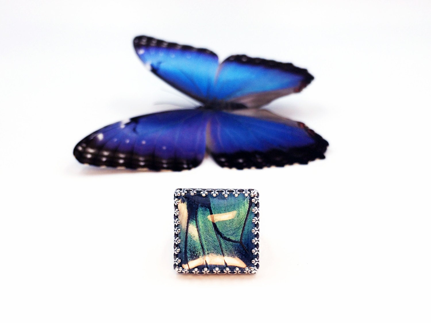 Real butterfly wings under glass Terrarium ring Blue Morpho Butterfly taxidermy ring Real sterling silver rings for women size 6 7 8 9 10
