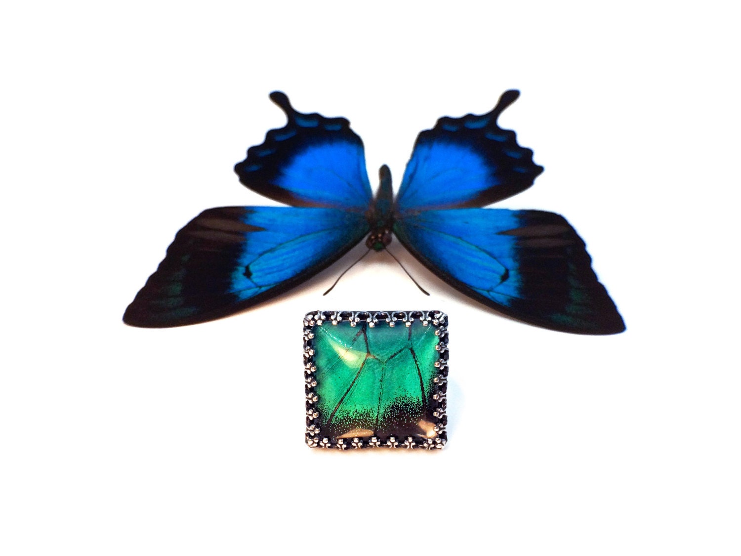 Real butterfly wing ring butterfly ring Sterling silver handmade ring Butterfly engagement ring Taxidermy butterfly promise ring