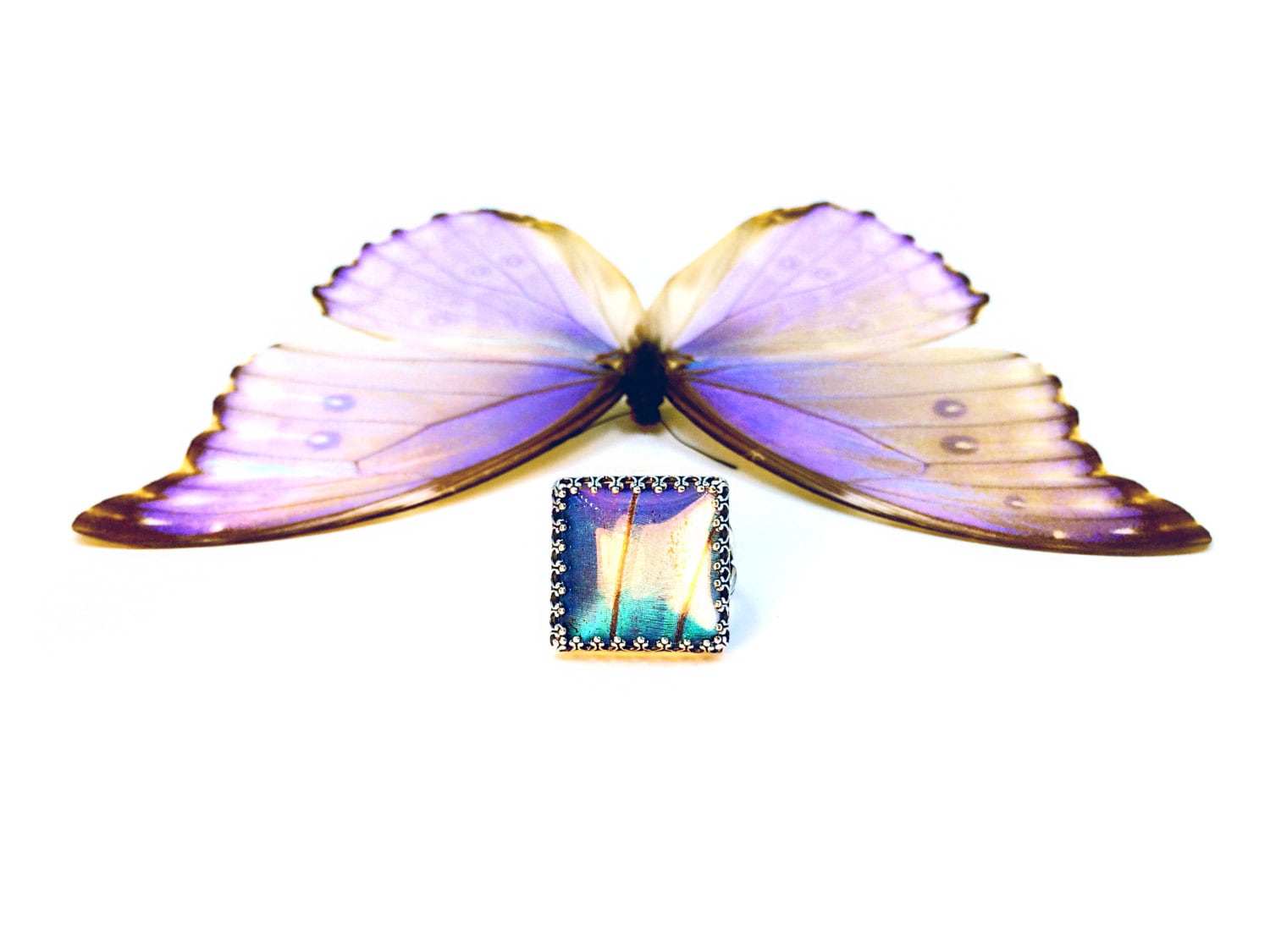 Real butterfly wing ring Sterling silver butterfly ring mood ring Adjustable rings for women Real butterfly ring for girlfriend Blue Morpho