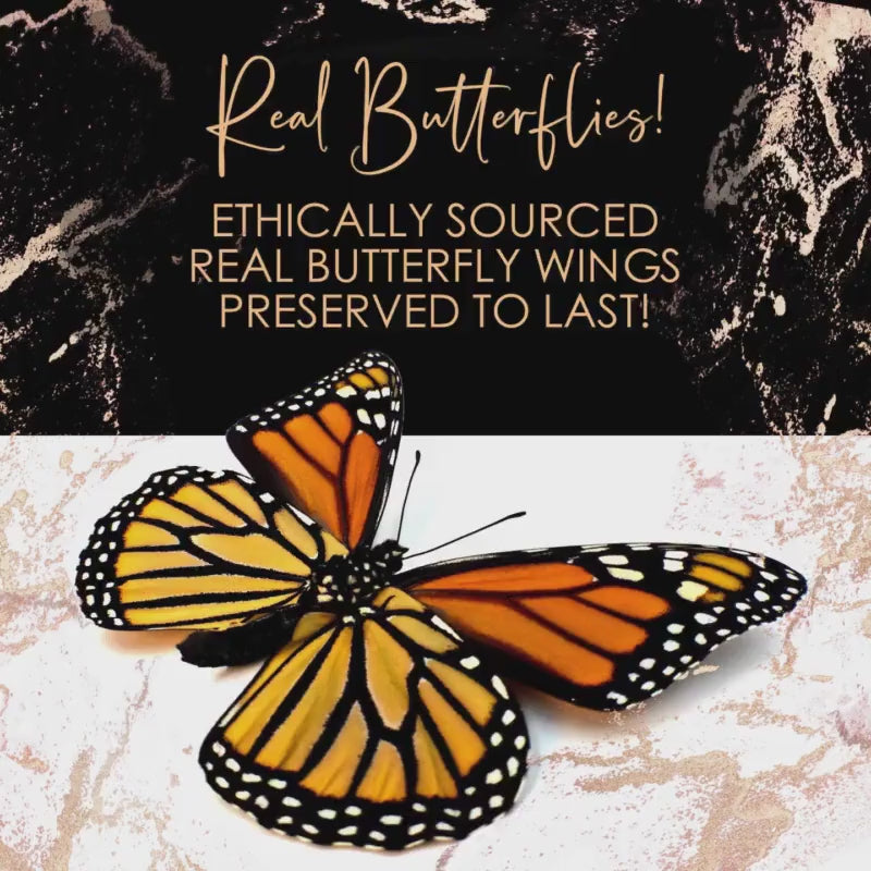 Real butterfly wing necklace Pressed butterfly necklace Best friend necklace Pressed flower necklace Butterfly wing jewelry Pressed jewelry